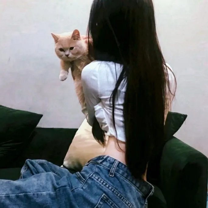 惊悚诡计