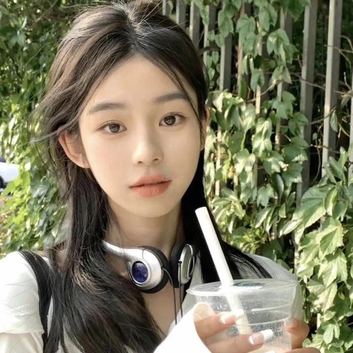 不死鸟之恋